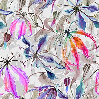 Beautiful gloriosa lily flowers with climbing leaves on gray background. Seamless floral pattern. Watercolor painting. Cartoon Illustration