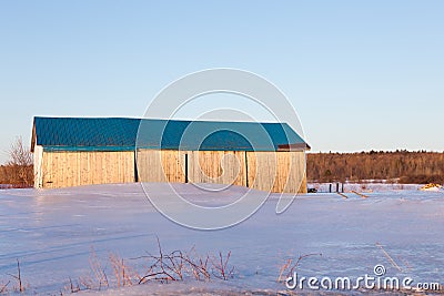 Beautiful golden hour winter view of patrimonial natural wood barn with steep blue metal roof in snowy field Stock Photo