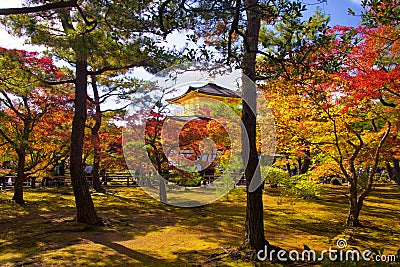 Beautiful golden pavilion with autumn garden, Kyoto Editorial Stock Photo