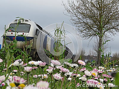 Beautiful goods train with ecologically sustainable transport flowers Stock Photo
