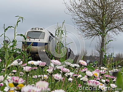 Beautiful goods train with ecologically sustainable transport flowers Stock Photo