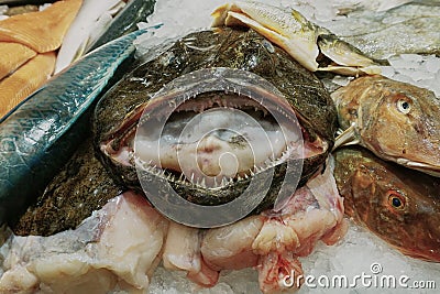 Seafood Display with smiling Monk Fish Stock Photo