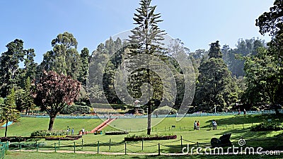 Beautiful Government botanical gardens in Ooty, Tamilnadu, India Editorial Stock Photo