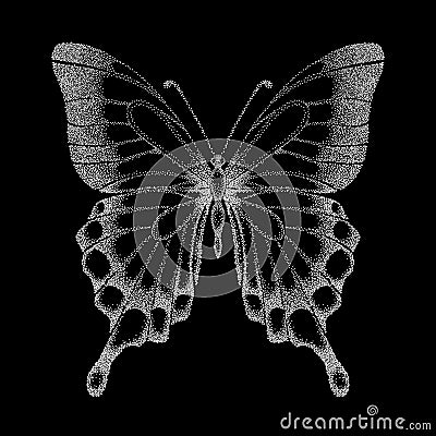 Beautiful graphic black and white butterfly. Vector Illustration