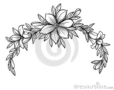 Beautiful graphic drawing Lily branch with leaves Vector Illustration