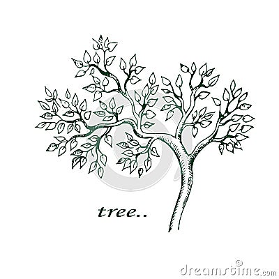 Beautiful graphic tree with green leaves and branches on white background. Vector Illustration