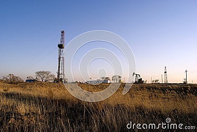 Beautiful grassland Stock Photo