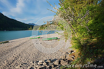 Beautiful gravel beach with rowing boats, lake walchensee bavaria. blooming apple tree in spring Stock Photo