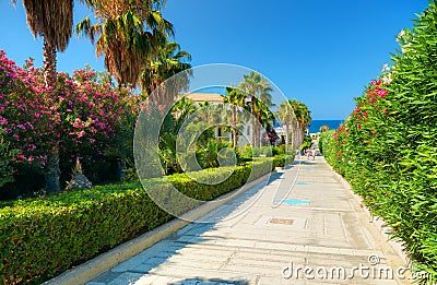 Beautiful Greek hotel road pathway to sea beach for tourists among red white rose colorful flowers and green palms. Greece islands Stock Photo