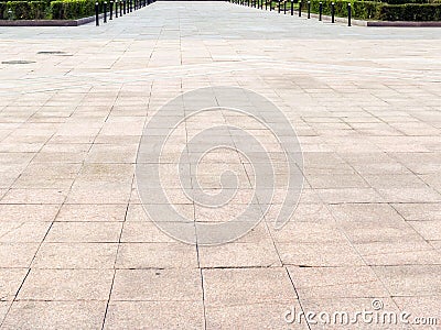 Beautiful green alley in the park. A place to stay in the city. Beautiful green christmas trees. Sidewalk Stock Photo