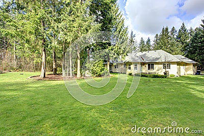 Beautiful green backyard Stock Photo