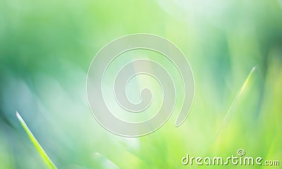 Beautiful green bokeh background Stock Photo