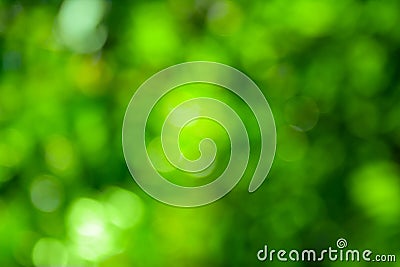 Beautiful green bokeh. Bright natural background. Stock Photo