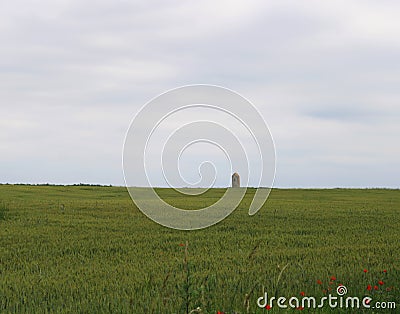 Beautiful green fields with clouds Stock Photo
