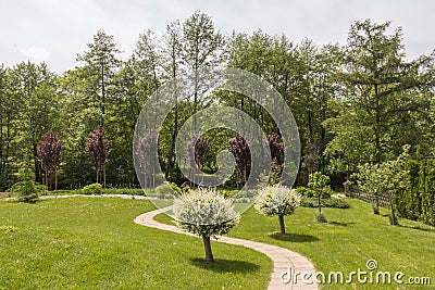 Beautiful green garden with a path going between two Japanese willow trees Editorial Stock Photo