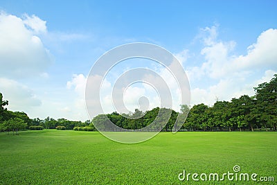 Beautiful green grass field and fresh plant in vibrant meadow ag Stock Photo