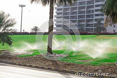 Beautiful green lawn park with trees is sprayed with automatic water spray sprinkler installation during hot period in summer blue Stock Photo