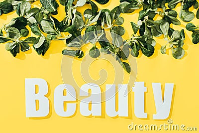 beautiful green leaves and inscription beauty Stock Photo