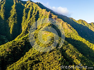 Beautiful green mountains in the Hoâ€™omaluhia Botanical Garden in Hawaii Stock Photo