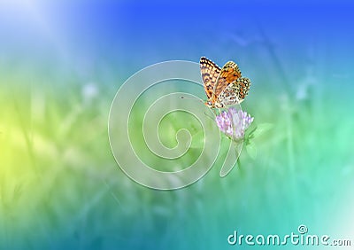 Beautiful Green Nature Background.Butterfly.Copy Space.Colorful Artistic Wallpaper.Natural Macro Photography.Blue,colors,beauty. Cartoon Illustration