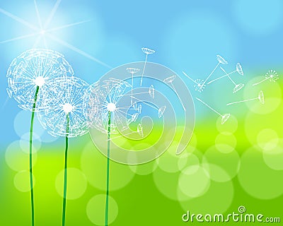 Beautiful green spring meadow Vector Illustration