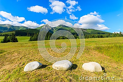 Beautiful green summer landscape of Tatra Mountains in Zdiar village, Slovakia Stock Photo