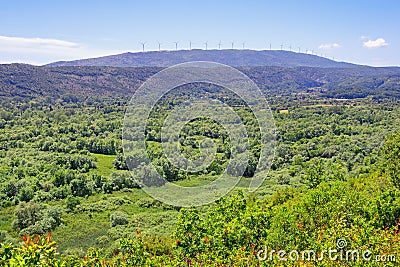 Beautiful green summer landscape. Montenegro, Ulcinj. View of the surroundings of Lake Shas Stock Photo