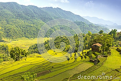 Beautiful green valley and single rock house on a hill Stock Photo