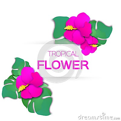 Beautiful greeting card with pink tropical flowers and rectangle frame. Vector Illustration