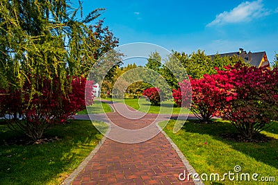 Beautiful groomed walkways in the park. Trees with red leaves grow in the park Stock Photo