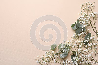 Beautiful gypsophila flowers and eucalyptus branches on beige background, flat lay. Space for text Stock Photo