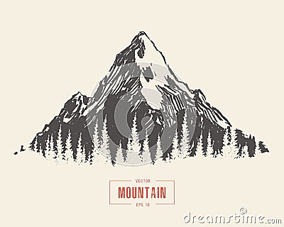 Hand drawn mountain landscape pine forest vector Vector Illustration