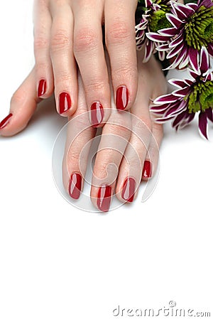 Beautiful hand with nail red manicure and flower Stock Photo