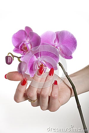 Beautiful hand with red manicure and orchid flower Stock Photo