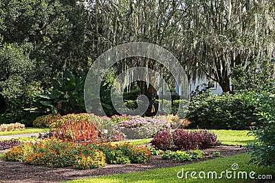 Beautiful Harry P. Leu Gardens Stock Photo