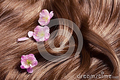 Beautiful healthy shiny hair with sakura flowers Stock Photo