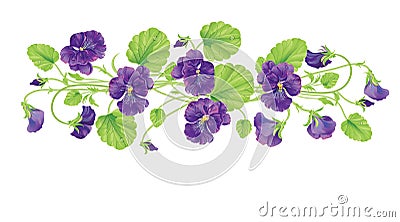 Beautiful heartsease . vector illustration of a realistic Vector Illustration