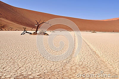 Beautiful Hidden Vlei in desert Namib Stock Photo