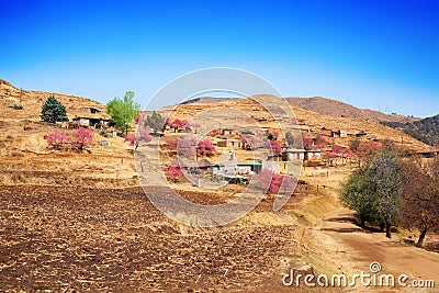 Beautiful highland landscape Drakensberg mountains, blossom peach trees pink flowers, village, sunny day, Lesotho, Southern Africa Stock Photo