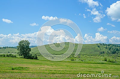 Beautiful hills covered with fresh greenery with cloud shadows Stock Photo