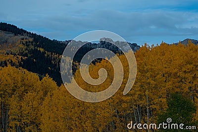 Beautiful hillside with fur trees in autumn Stock Photo