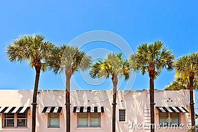 Beautiful historic buildings with palms Stock Photo