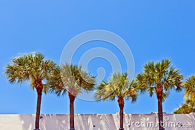 Beautiful historic buildings with palms Stock Photo