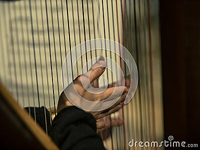 Beautiful historical harp, tuned before the concert, the photo can be used as wallpaper Stock Photo