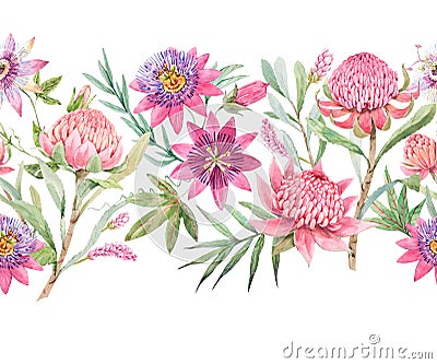 Beautiful horizontal seamless floral pattern with watercolor summer passionflower and waratah protea flowers. Stock Cartoon Illustration