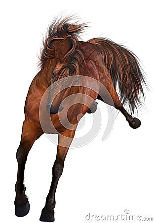 Beautiful Horse Stock Photo