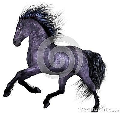 Beautiful Horse Stock Photo