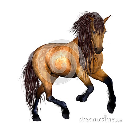 Beautiful Horse Stock Photo