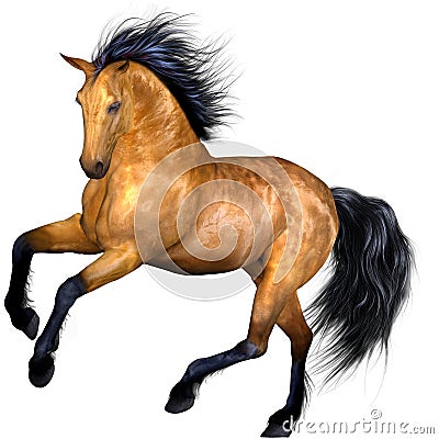 Beautiful Horse Stock Photo