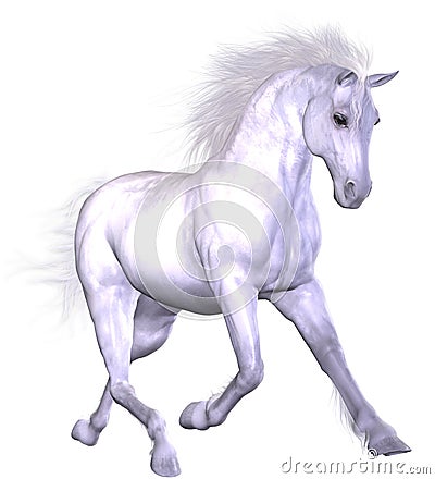 Beautiful Horse Stock Photo